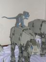 dscn4488.jpg
