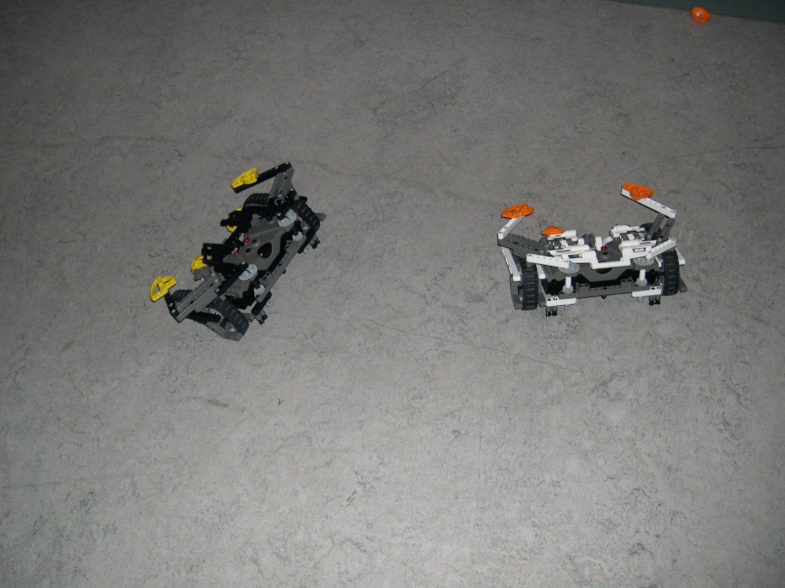 dscn2565.jpg