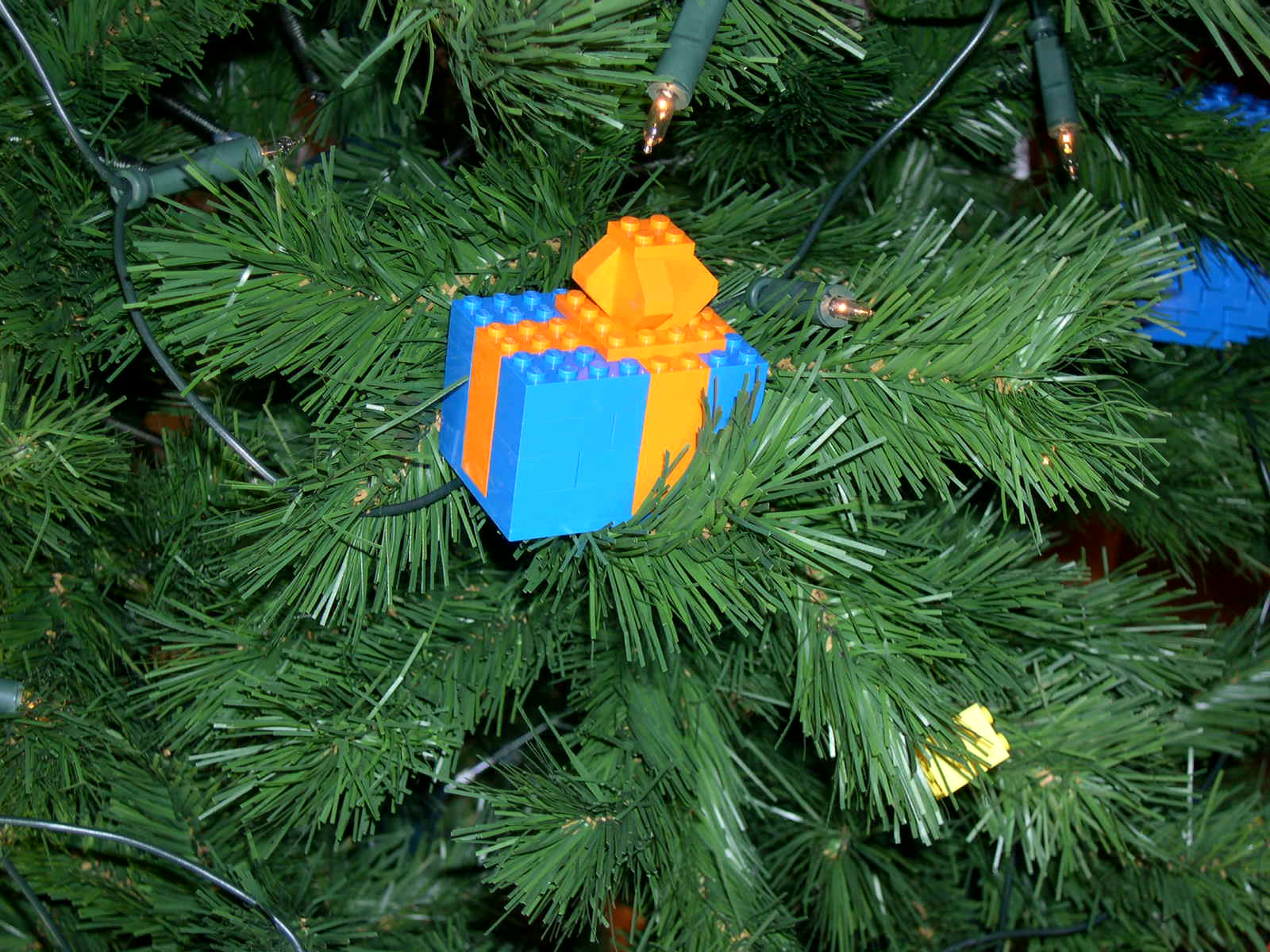 dscn3782.jpg