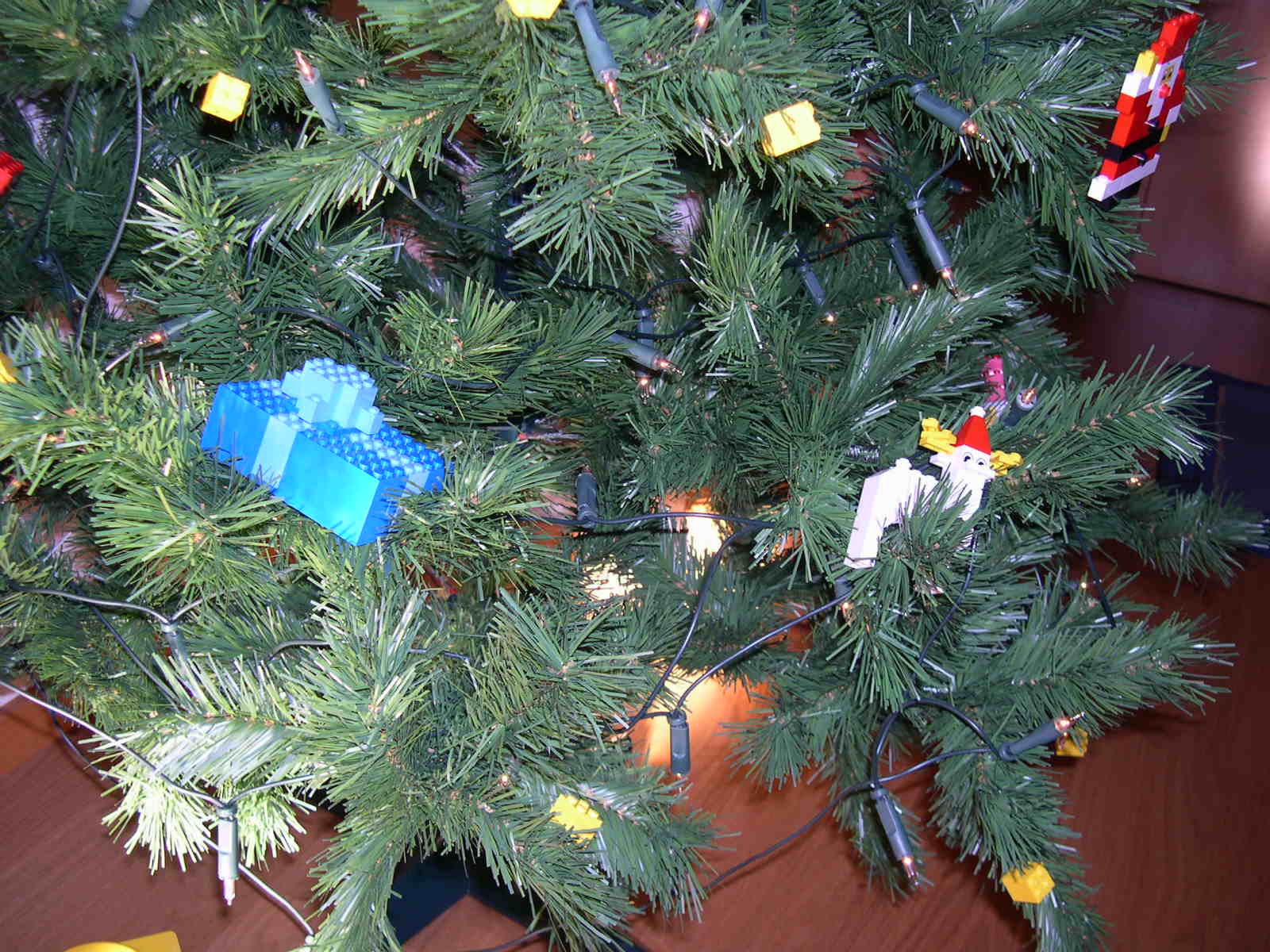 dscn3784.jpg