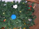 dscn3785.jpg