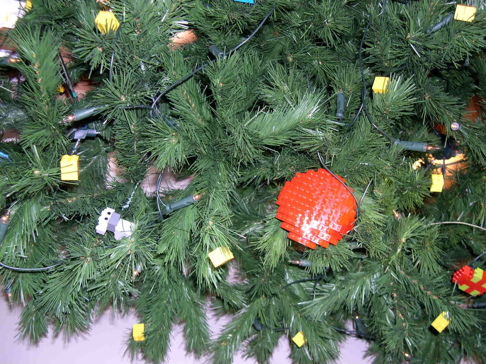 dscn3783.jpg