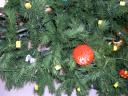 dscn3783.jpg