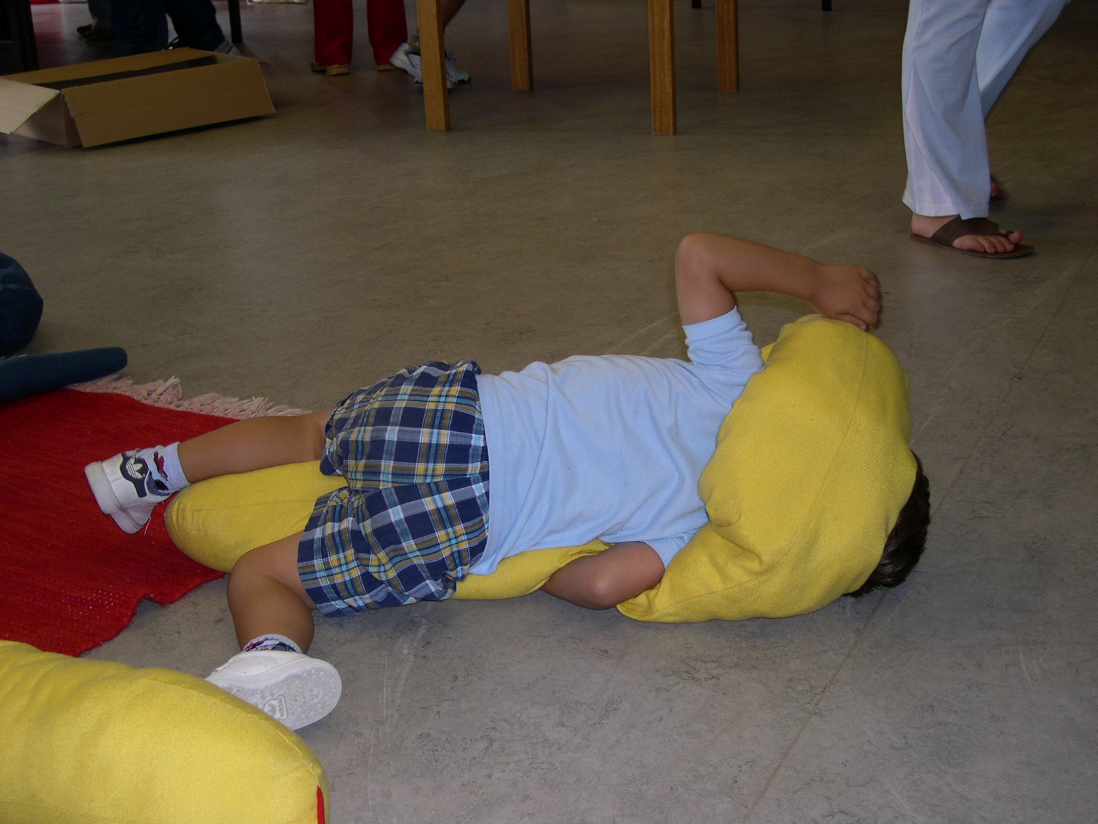 dscn2455.jpg