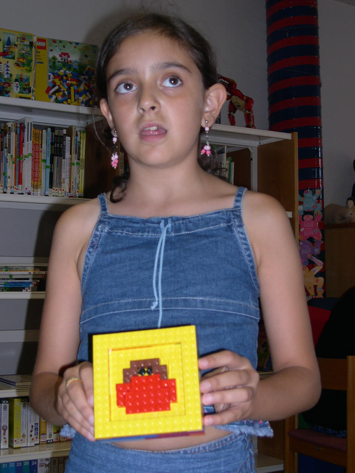 dscn2553.jpg