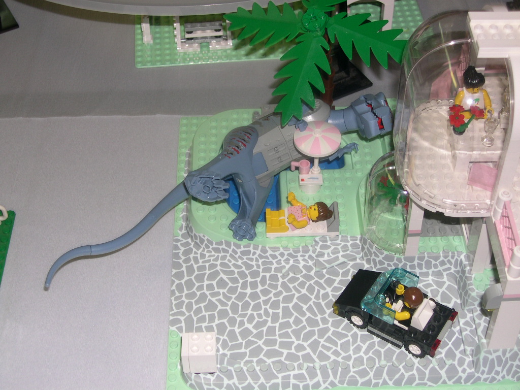dscn4529.jpg