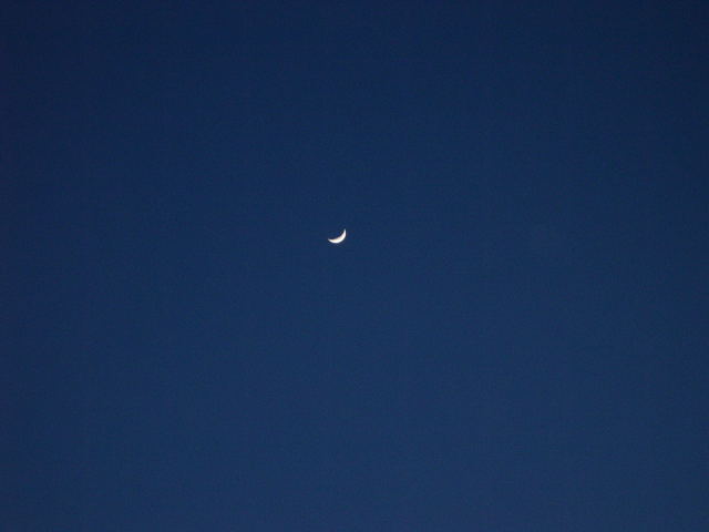 image0036.jpg