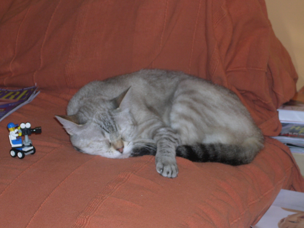dscn3906.jpg