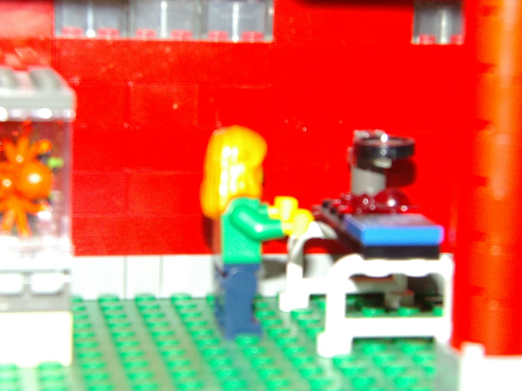 imgp0821.jpg