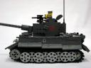 tiger-5.jpg