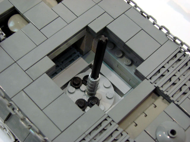 tiger-19.jpg