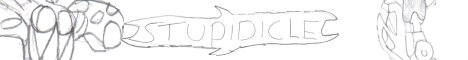 stupidiclebanner02.jpg