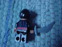 dsc01042.jpg