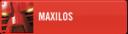 maxilos.bmp