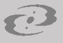 bionicle_logo.png