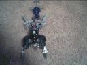 may31032.jpg