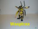 wasptrax9.jpg