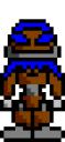 vahkibrownbh.gif