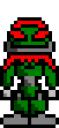 vahkigreenbh.gif