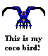 cocoblue.gif