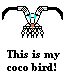 cocowhite.gif