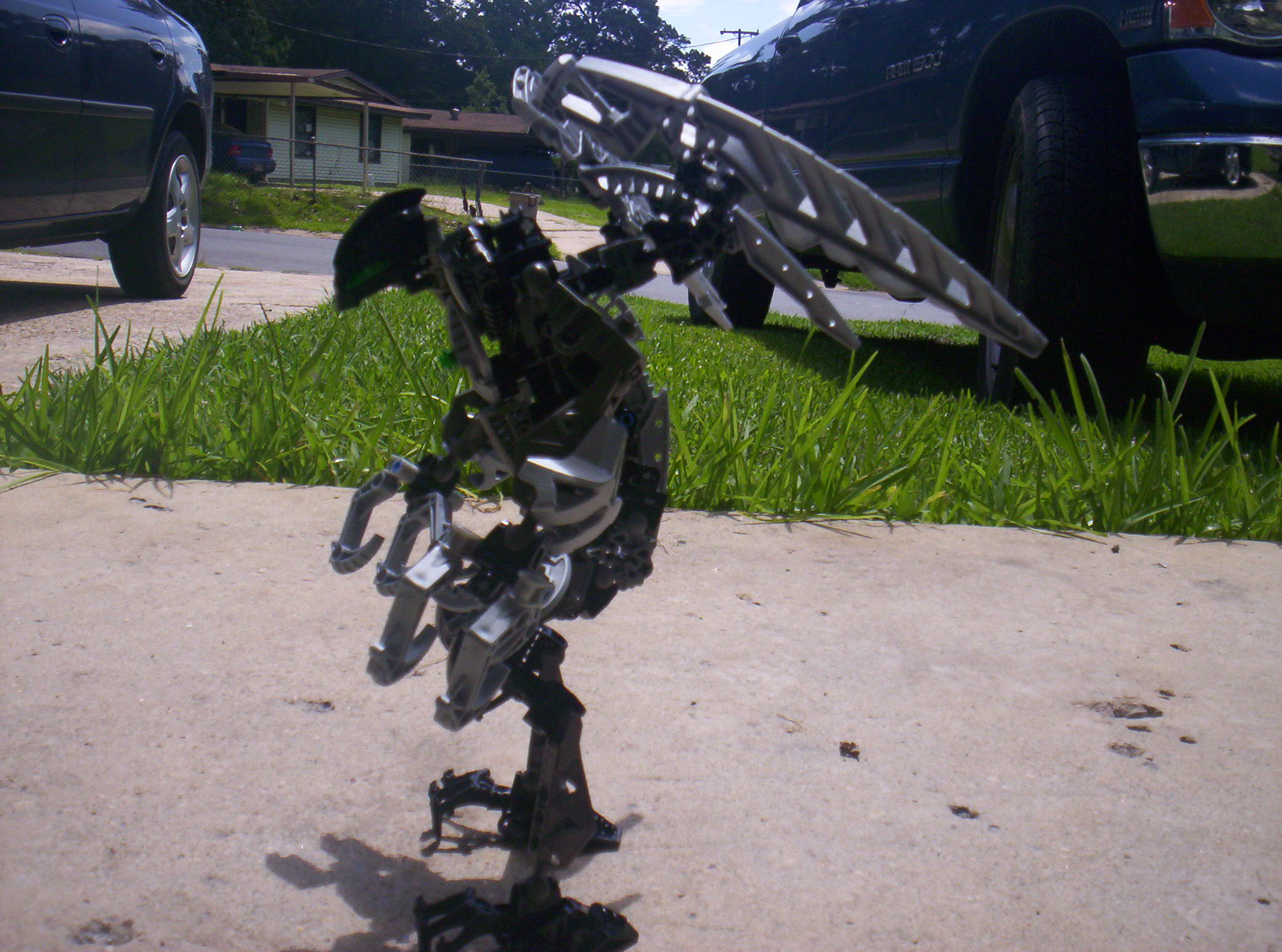 000_0371.jpg