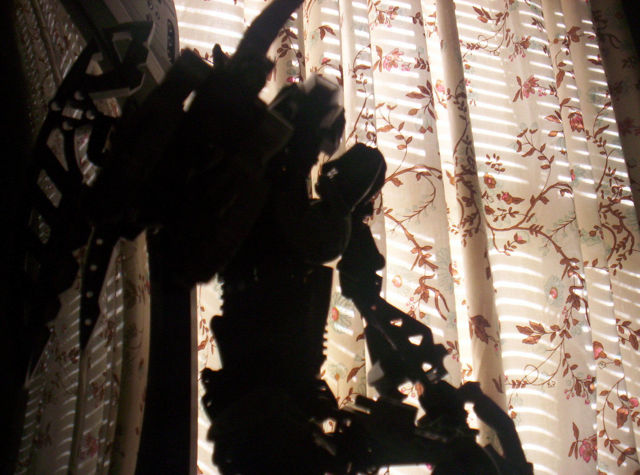 000_0377.jpg