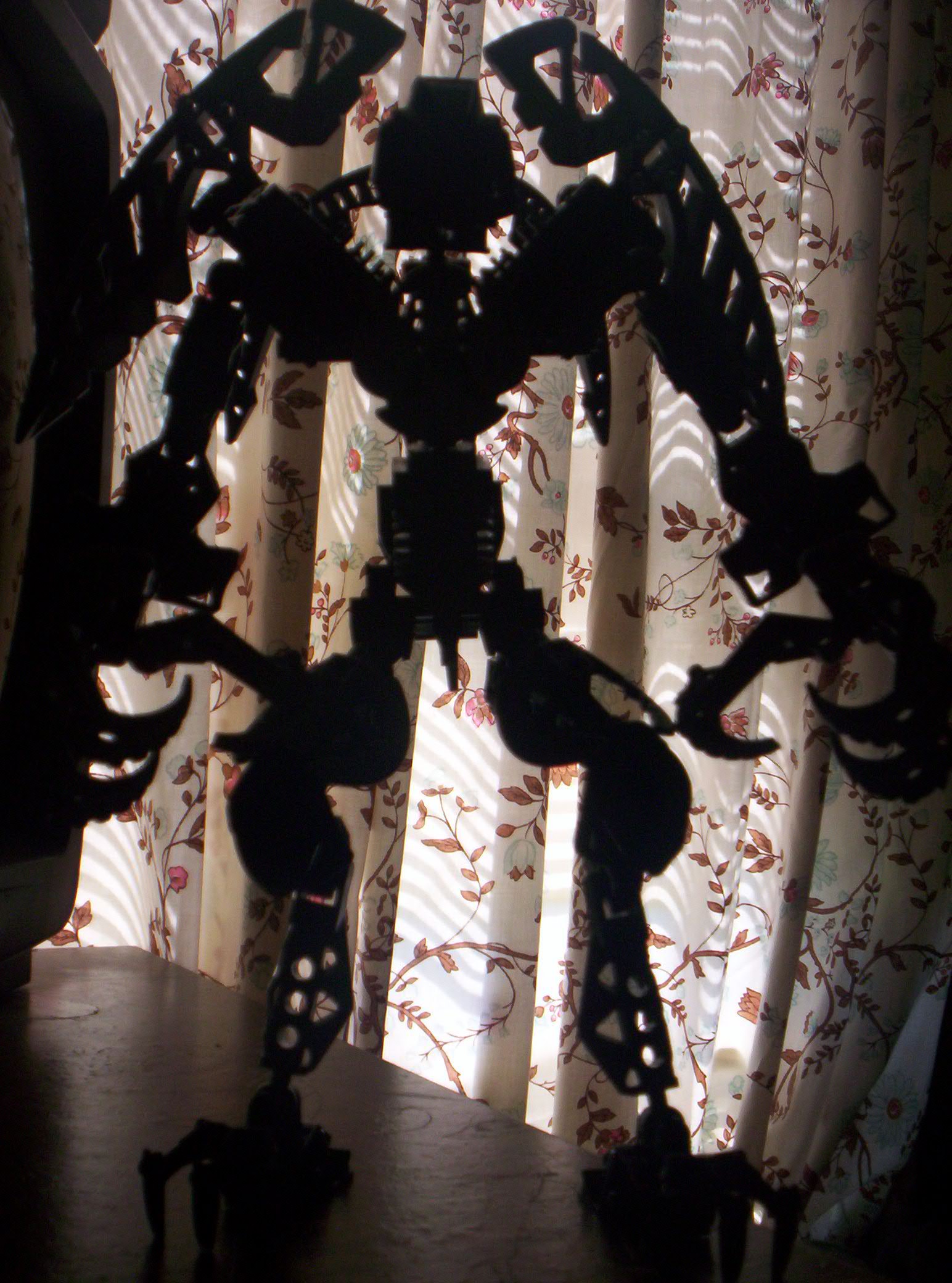 silhouette.jpg