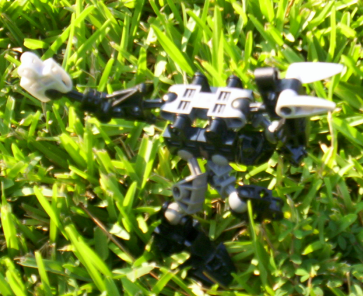 swafie_shadow05.png