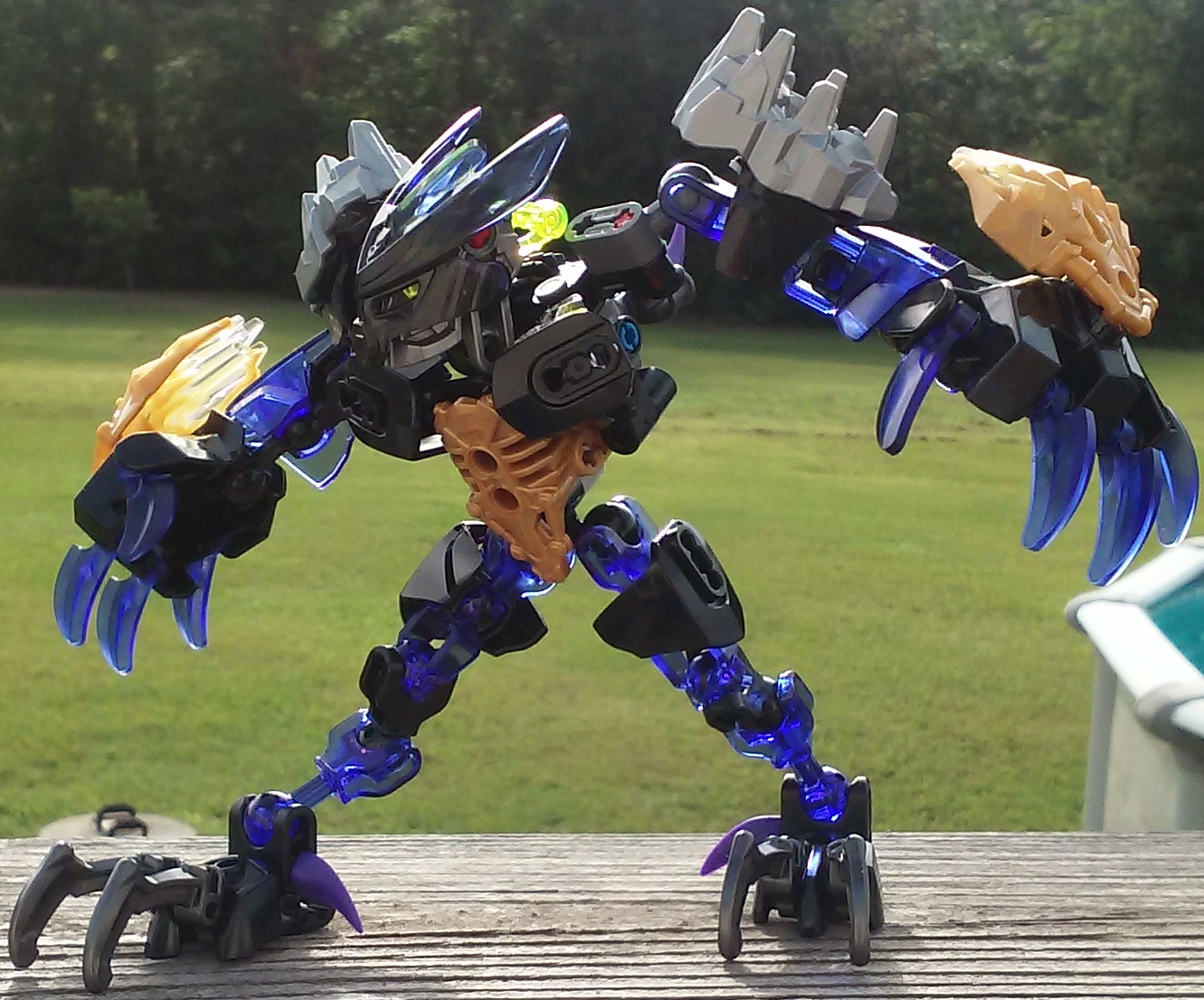 20160614_090230.jpg