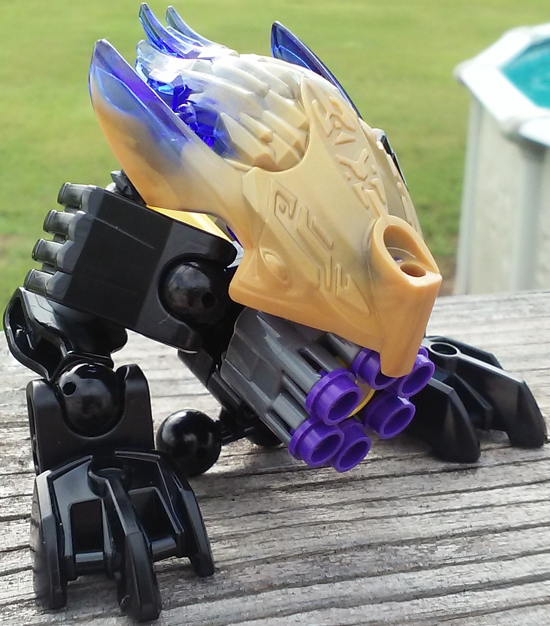 20160614_090815.jpg