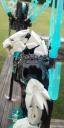 20160620_174550.jpg