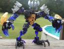 20160614_090556.jpg