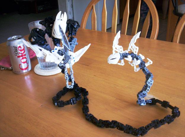 bionicle_hollow_2_014.jpg
