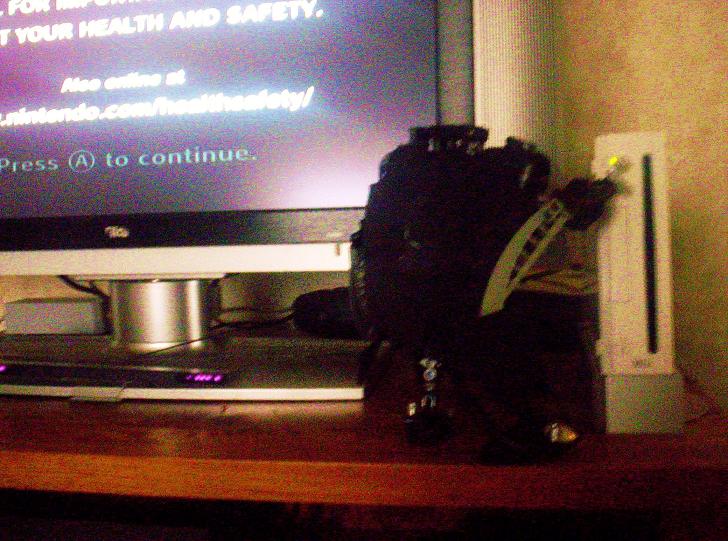 100_0613.jpg