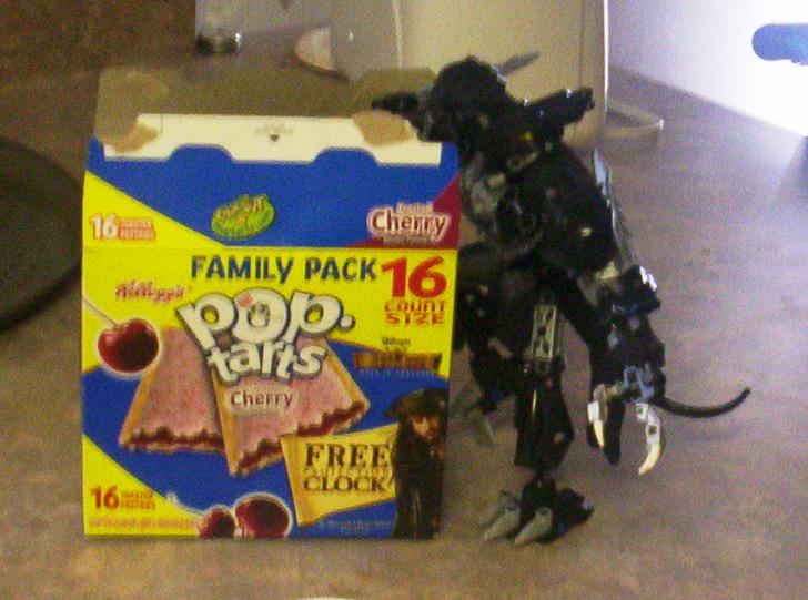 100_0623.jpg