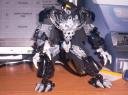 100_0625.jpg