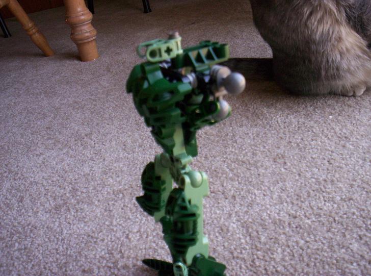 modified_piraka_010.jpg
