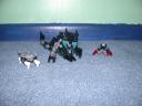 dscn6191.jpg