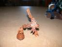 dscn6218.jpg