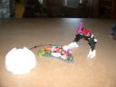 dscn6220.jpg