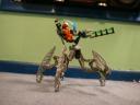 dscn6556.jpg