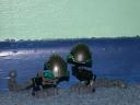 dscn6515.jpg