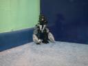dscn6412.jpg
