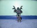 dscn6138.jpg