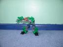 dscn6141.jpg