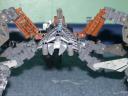 dscn6227.jpg