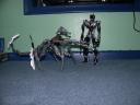 dscn6229.jpg