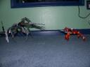 dscn6230.jpg