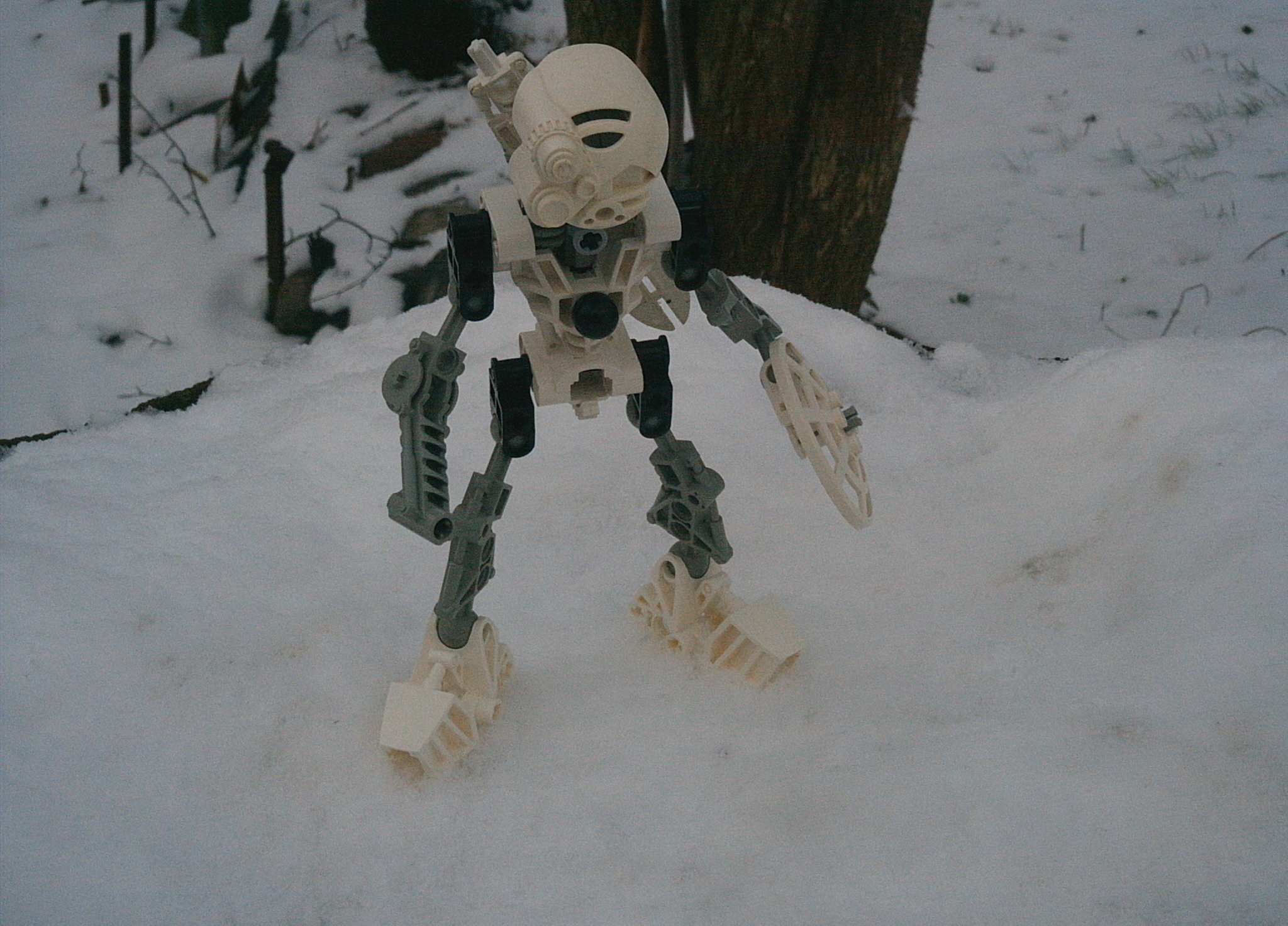 22.01.07_033.jpg